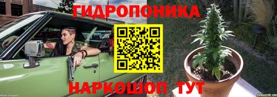 спайс Кулебаки