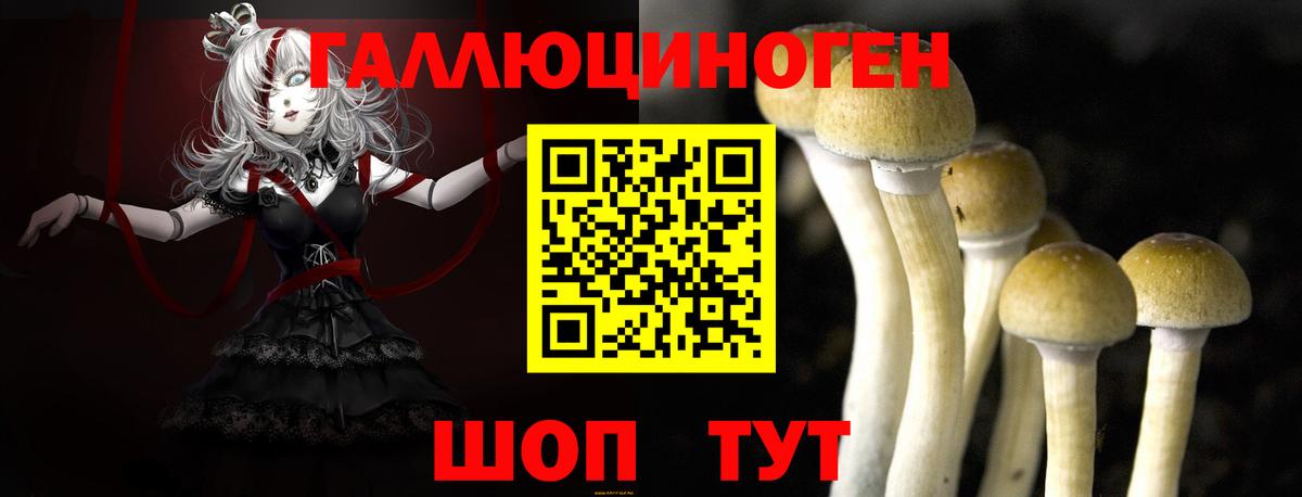 Галлюциногенные грибы мицелий  хочу наркоту  Костомукша  Вход с VPN  Псилоцибиновые грибы GOLDEN TEACHER 